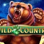 Игровой автомат Wild Country играть в Вулкан24
